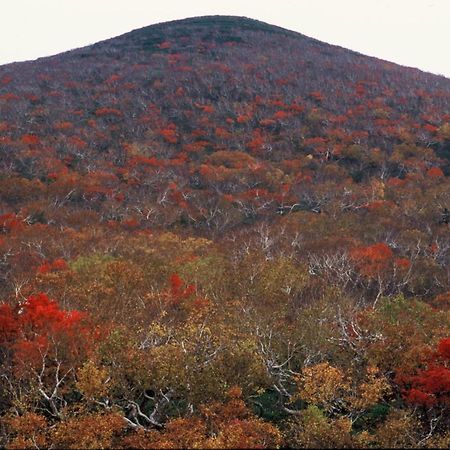Ny Building 4Th Floor, Guest House Ichibangai, Roo / Vacation Stay 55905 Kitami Exterior photo